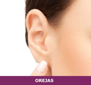 cirugía de orejas